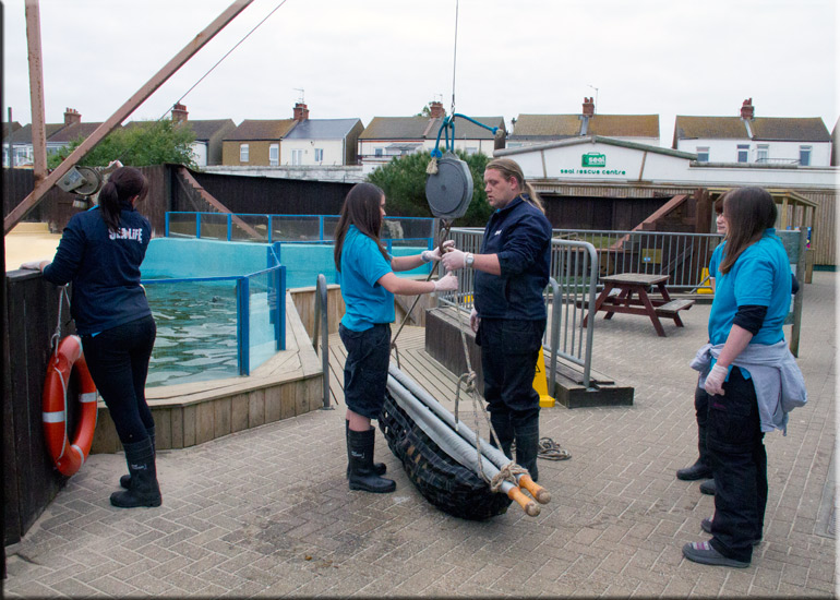 Boris - 10th June 2013
