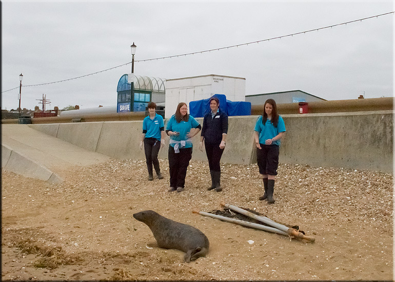 Boris - 10th June 2013