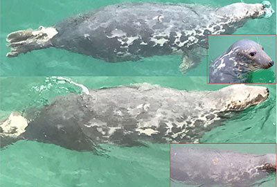 Photo by Julie Meaden