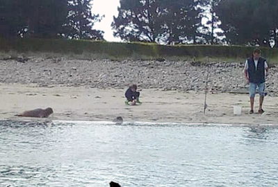 Boy George has been seen in the wild