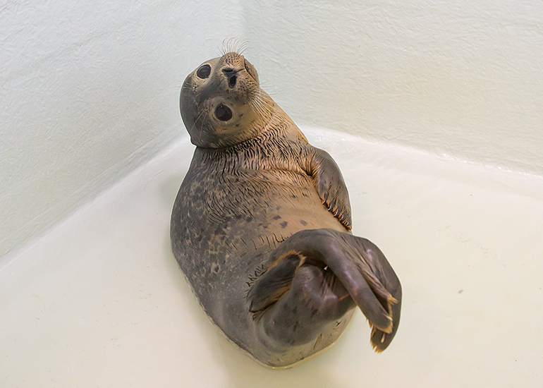 Boy George - photo taken on 24th August 2019