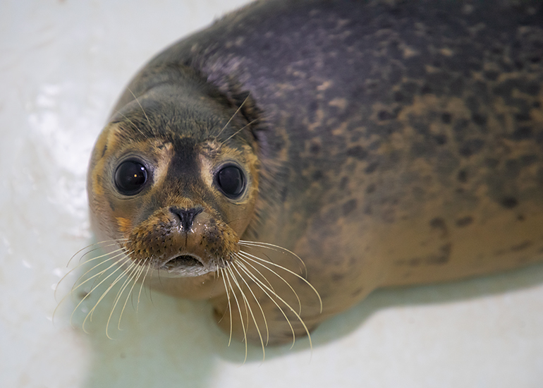 Boy George - photo taken on 27th October 2019