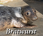 Bratwurst