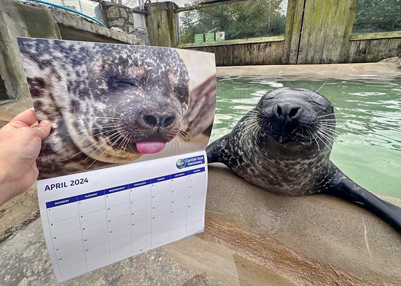 CSS calendar 2024