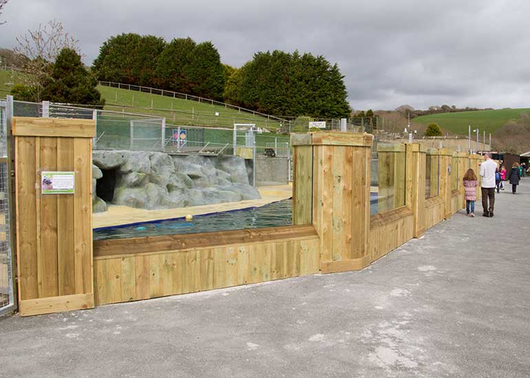 Californian Sea Lions Enclosure