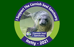 Car Sticker - 2021