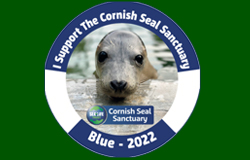 Car Sticker - 2022