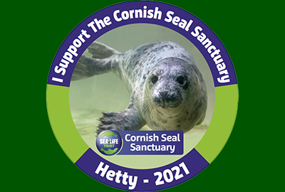 Car Sticker for 2021