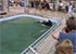 Carus at feeding time in 1999
