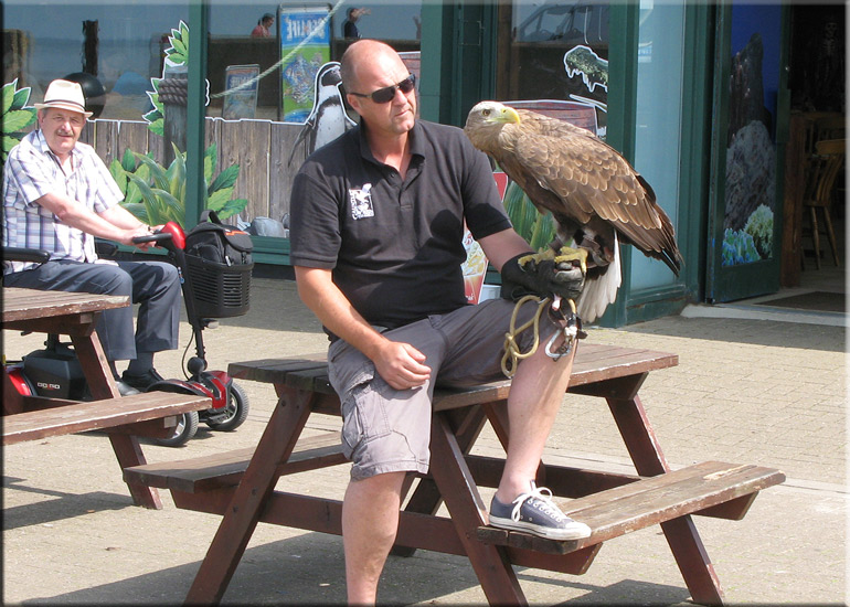CBBC Wild Show 13th July 2013