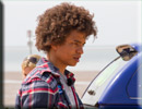 CBBC Wild Show