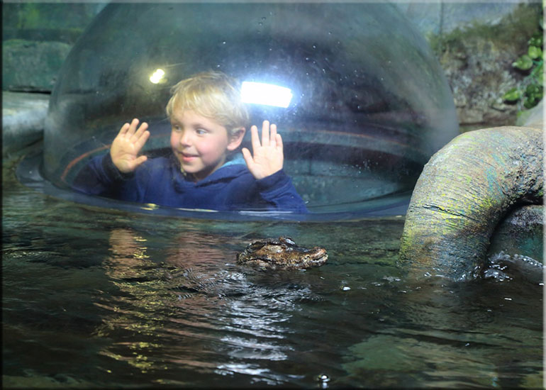 Angelika, Tomas and their family