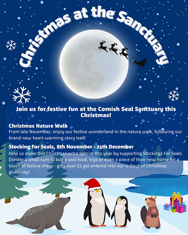Christmas at the Sanctuary!