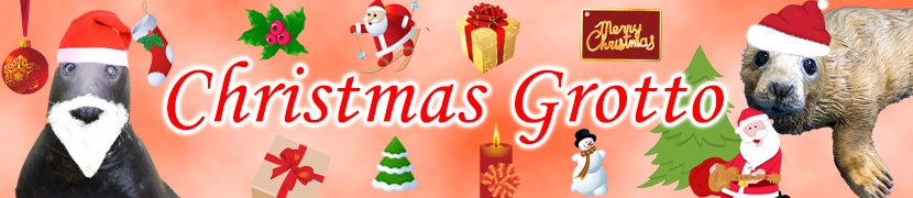 Sanctuary's 'Christmas Grotto'