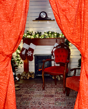 Sanctuary's 'Christmas Grotto'