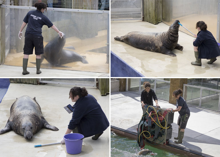 Claire, Animal Care Team Supervisor