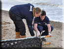 Claire - Seal Release - 6th December 2012