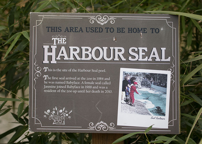 Babyface plaque displayed at Colchester Zoo