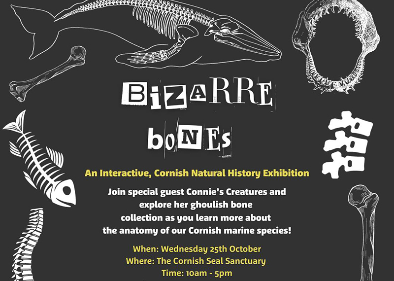 Connie's Creatures - 25th October 2023