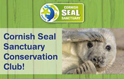 Conservation Club