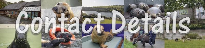 [Cornish Seal Sanctuary]