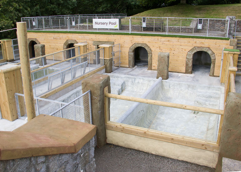 Convalescent and Nursery pools