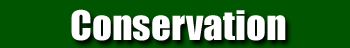 Conservation