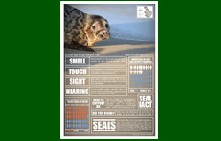 conservation posters