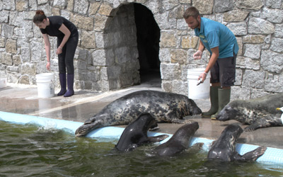 Conservation Blog