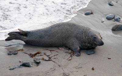 Conservation Blog