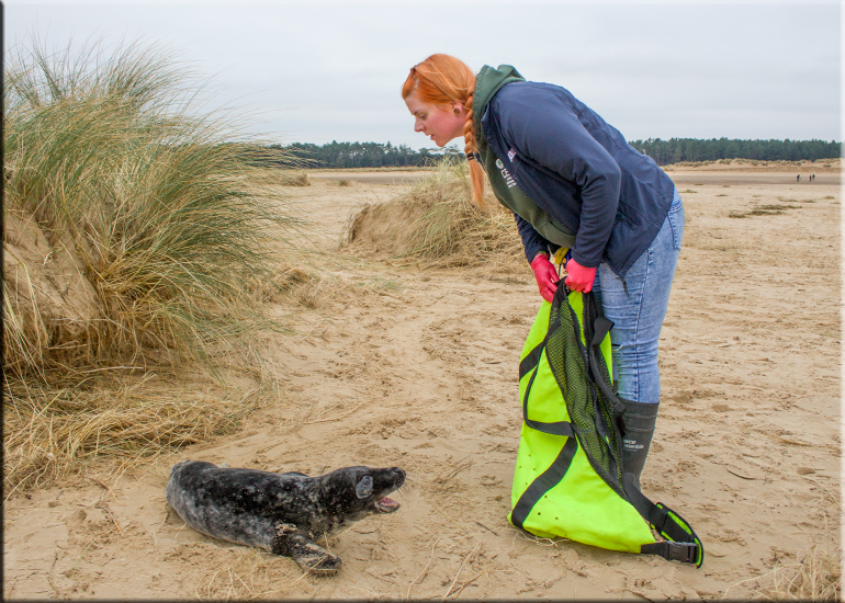 Darth Vader - photo taken on 21st January 2017
