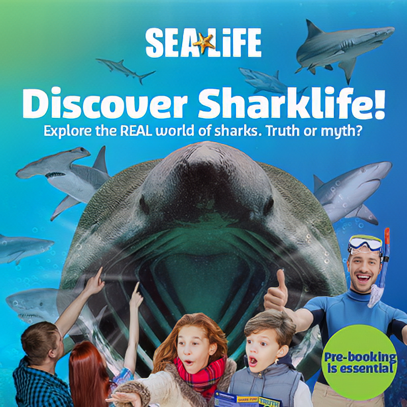 Discover Sharklife, truth or myth?