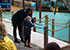 Discovery Cove Playground
