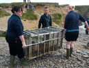 Seal Release - 24th May 2013