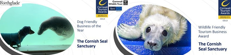 Dog Friendly Business of the Year for 2020-21