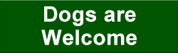Dogs are always welcome