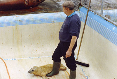 Duchess, February 1993