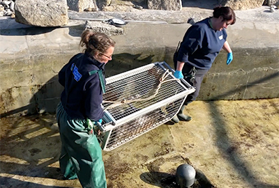 Seal Release - 30th April 2021