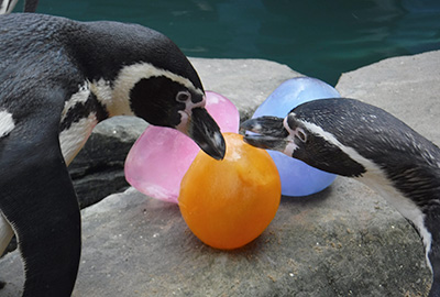Egg-Citing Easter Training