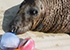 Egg-Citing Easter Training