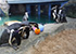 Egg-Citing Easter Training
