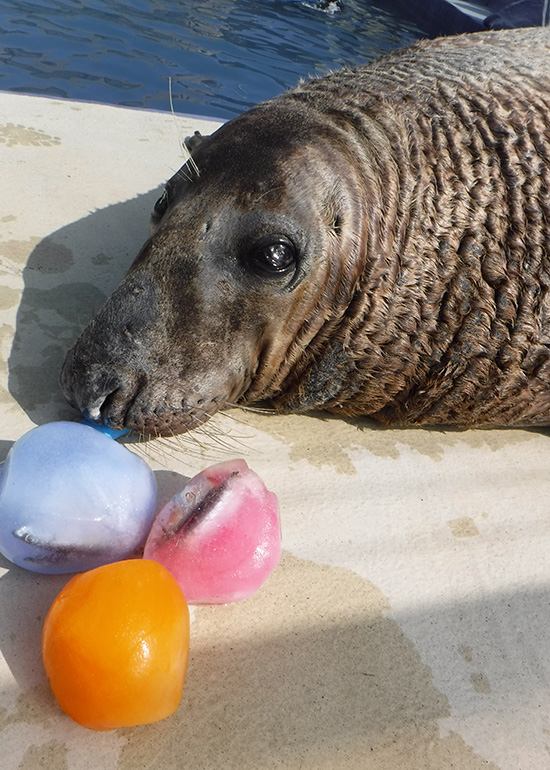 Egg-Citing Easter Training
