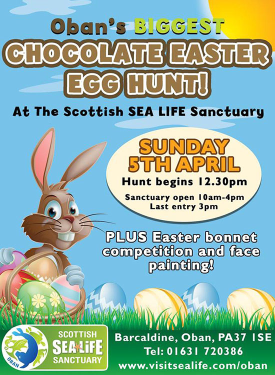 Easter Hunt 2015