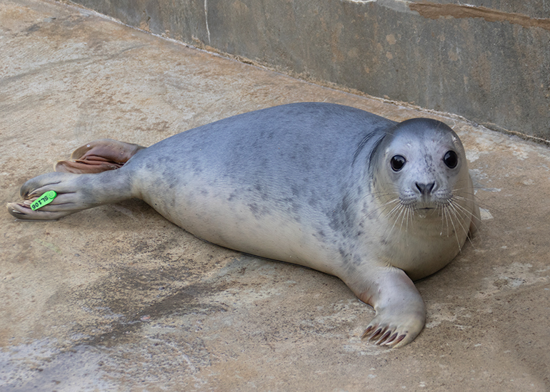 Eliza - Photo taken on 4th December 2020
