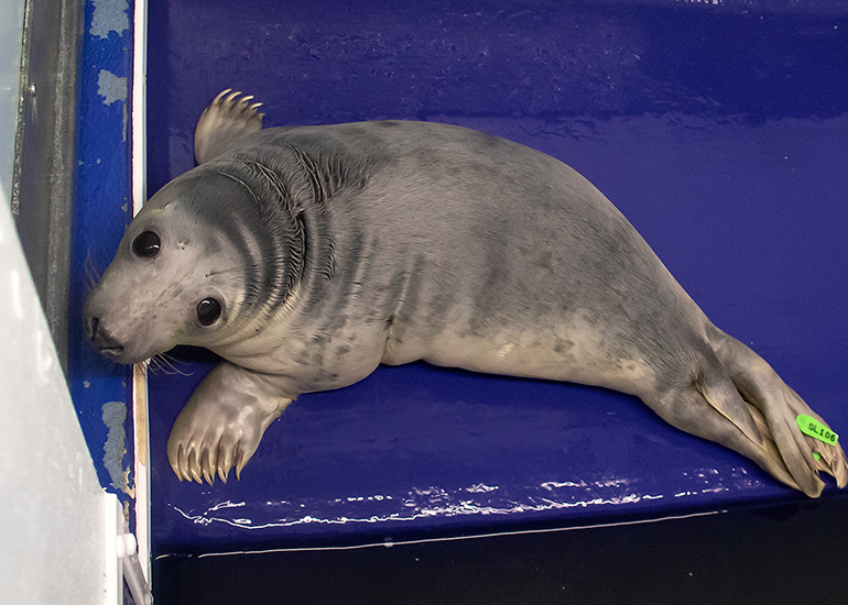 Eliza - Photo taken on 30th October 2020