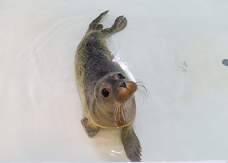Elvis - photo taken on 17th September 2019
