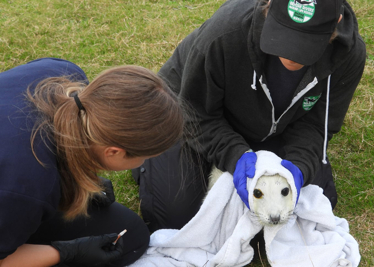 Empanada - Photo credit - Sue Sayer of CSGRT
