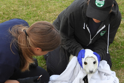 Empanada - Photo credit - Sue Sayer