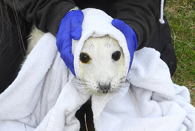 Empanada - Photo credit - Sue Sayer