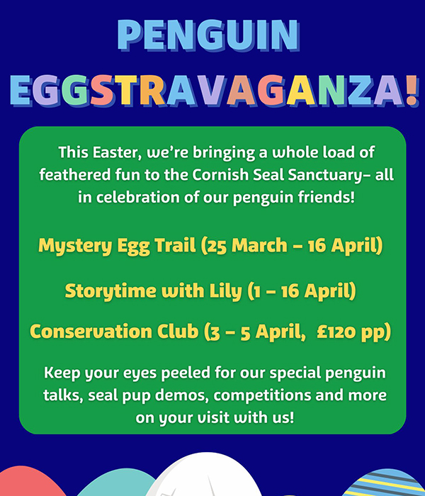 It's almost time for PENGUIN EGGSTRAVAGANZA!